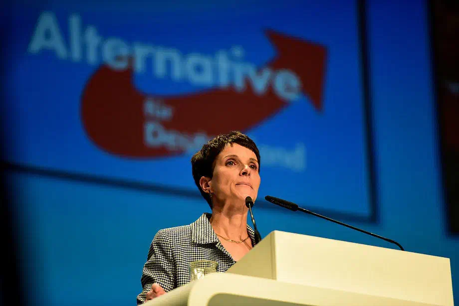 Petry wetterte gegen den "geschmacksfreien und visionslosen Brei der etablierten Parteien" und " Gender-Wahnsinn".