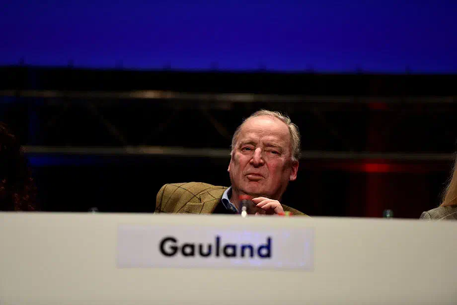 Der AfD Bundesvorstand