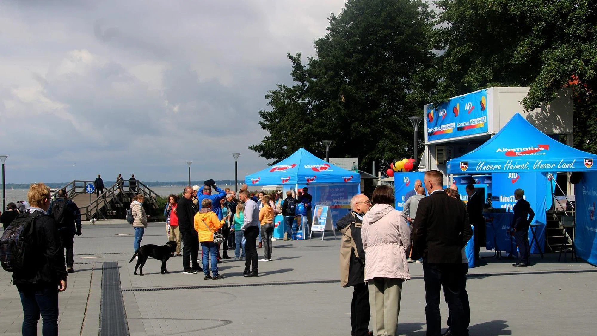 AfD-Kundgebung in Steinhude
