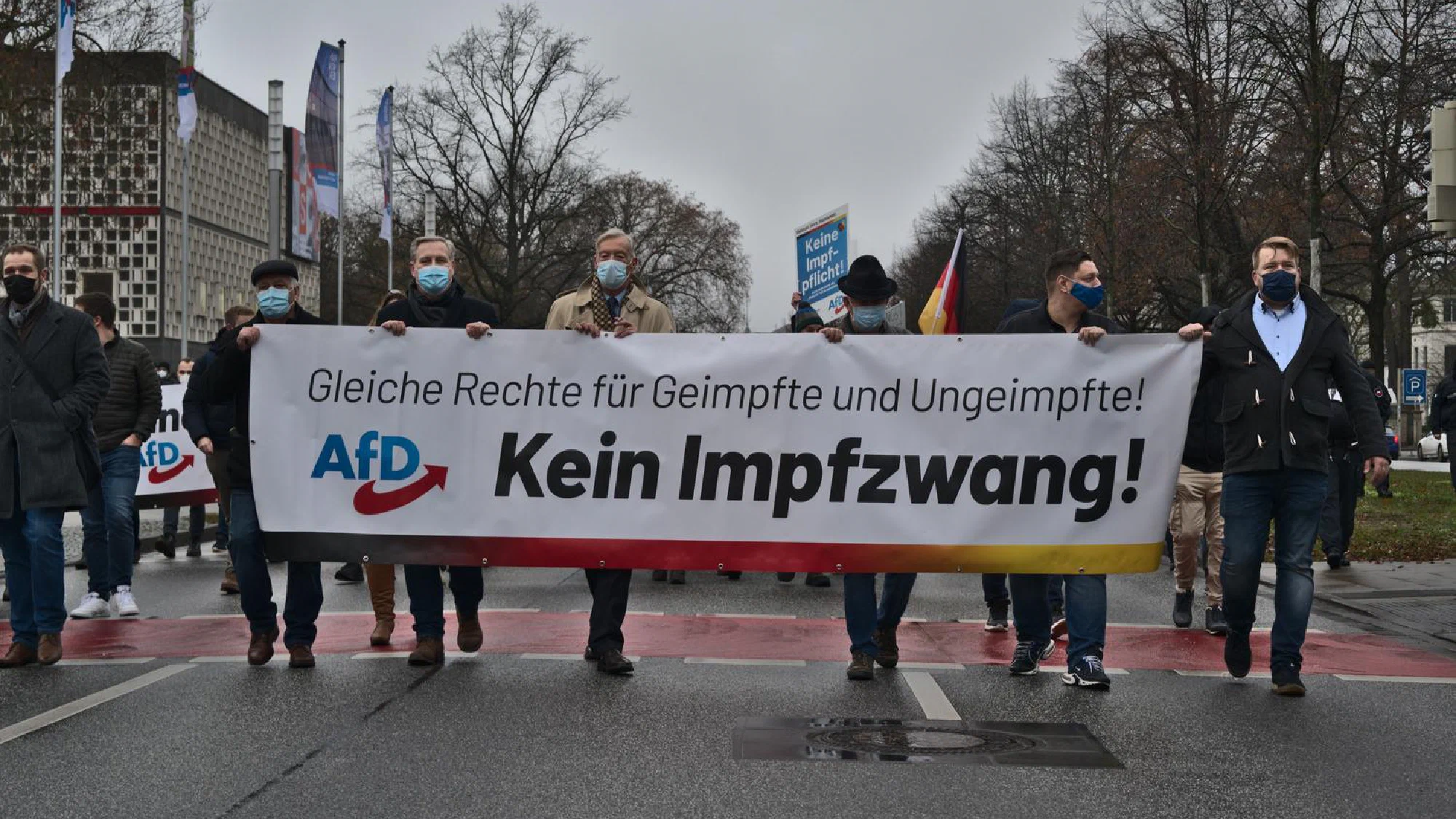 AfD-Demonstration in Hannover