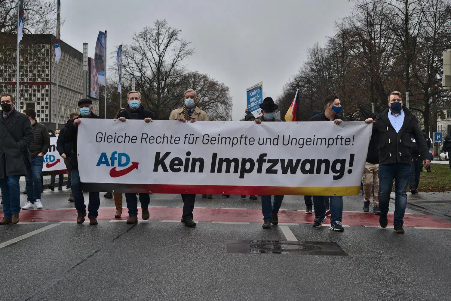 AfD-Demonstration in Hannover