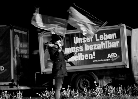 Reichsbürger:innen und AfD in Twistringen vereint