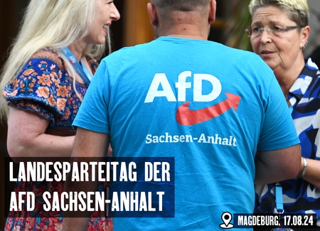 AfD Sachsen-Anhalt